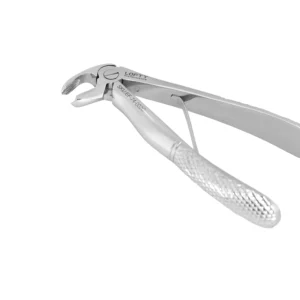 Home Forceps pediatria molares inferiores Lofty