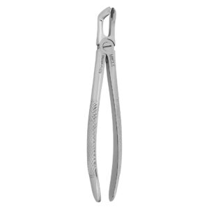 forceps figura 79